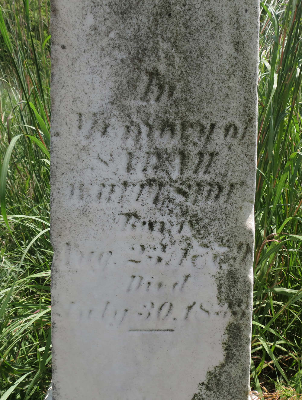 The grave of Sarah Whiteside